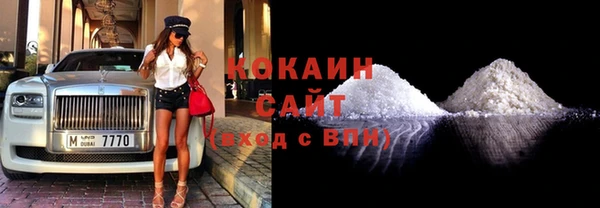прущие грибы Козельск