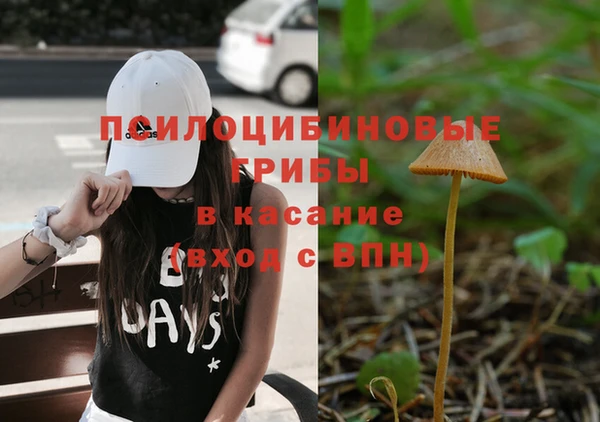 МДМА Алексеевка
