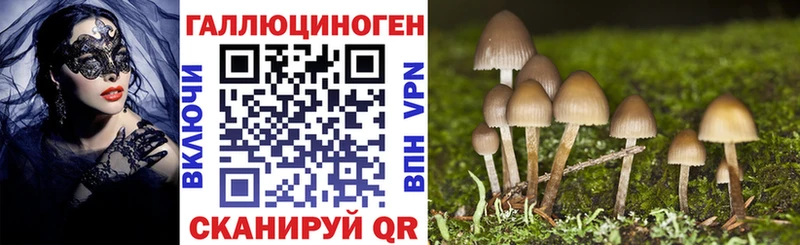 дарнет шоп  Бакал  МЕГА рабочий сайт  Псилоцибиновые грибы Cubensis 